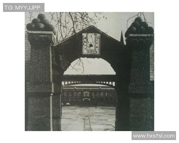 上海排球队的崛起之路:从默默无闻到世锦赛的辉煌历程 上海排球队的崛起之路:从默默无闻到世锦赛的辉煌历程