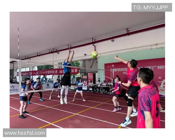 广州排球队的速度之谜：揭开排球巨献的神秘面纱