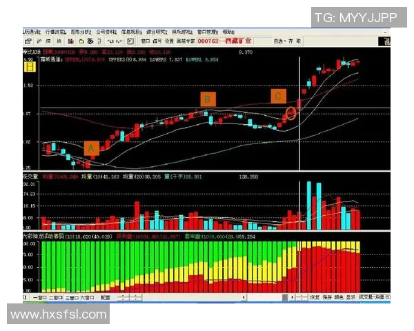 深入分析重庆排球队防反战术的独特魅力与实战应用