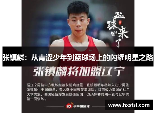 张镇麟：从青涩少年到篮球场上的闪耀明星之路