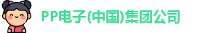 PP电子